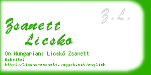 zsanett licsko business card